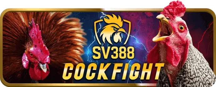 Hoàn trả slot hàng tuần